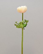 ST-WAE1-CRW-175N-222