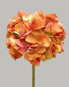 Hydrangea 19" Orange
