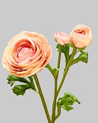 Ranunculus 22.5" Light Mauve