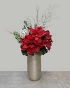 Silver Frost Poinsettia 