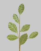 Frosted Leaf Branch 28" Green