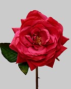 Rose Westminster 20.5" Fuchsia