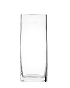 Square Clear Glass Vase 10"H (4"x4")