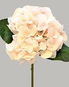 Hydrangea 20" Beige