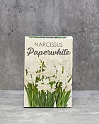 Paperwhite Gift Kit