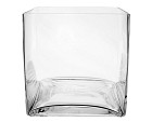 Square Clear Glass Vase 8"H (8"x8")