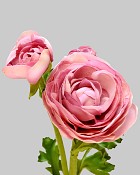 Ranunculus 22.5" Deep Lavender