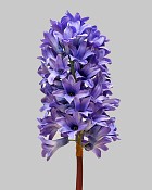 Hyacinth 18" Purple