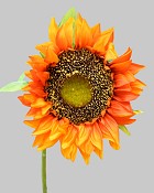 Sunflower 30" Golden Orange