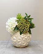 Green Joy Bundle - Large 