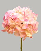 Hydrangea 20" Cream/Pink