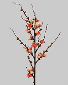 Peach Blossom 30" Orange