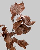 Hydrangea Leaf Spray 40.5" Brown