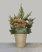 Festive Golden Evergreen