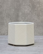White Hexagon 4"H