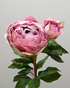 Peony 27" Deep Lavender