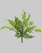 Wood Fern Bush 16" Green