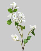 Dogwood Branch 42" White