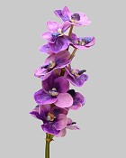 Vanda Orchid 21" Lavender/Purple