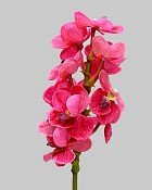 Vanda Orchid 21" Dark Pink