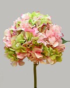 Hydrangea 18" Pink/Green