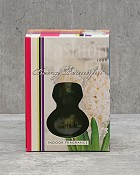 Hyacinth in Glass Gift Kit - White