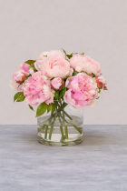 Pink Peonies