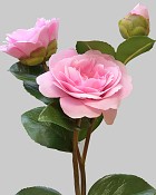 Camellia 29" Pink