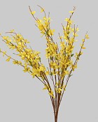 Forsythia Bush 34" Yellow/Gold