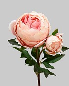 Peony 27" Peach/Pink