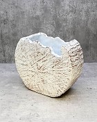 Wood Trunk - White 8"H