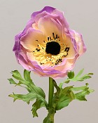 Anemone 17.5" Cream/Purple