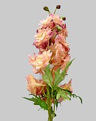 Delphinium 24" Pink/Cream