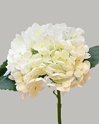 Hydrangea Stem 13" White