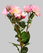 Trailing Rose Spray 23" Mauve