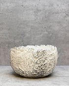Fossil Planter - White 10"D