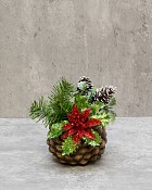 Winter Pinecone Classic