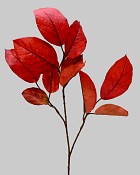 Mulberry Leaf Spray 27" Burgundy