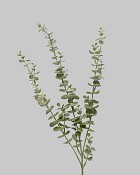 Iced Eucalyptus Green/White 31.5"