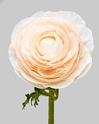 Ranunculus 22" Beige