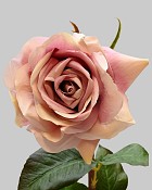 Rose Dutchess Open 20" Light Mauve