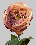 Rose Dutchess Bud 21.5" Cream/Lavender