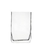Rectangular Clear Glass Vase 7"H (5"L x 2"W)