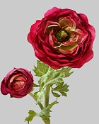 Ranunculus 19.5" Red