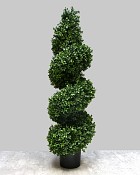 Boxwood Spiral Tree 45"H