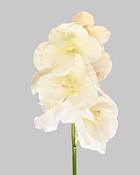 Vanda Orchid 36.5" White