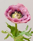 Anemone 17.5" Lavender