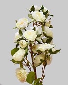 Rose Minnie 18.5" White