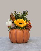 Pumpkin Patch Sunflower