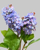 Lilac 27.5" Light Blue/Pink